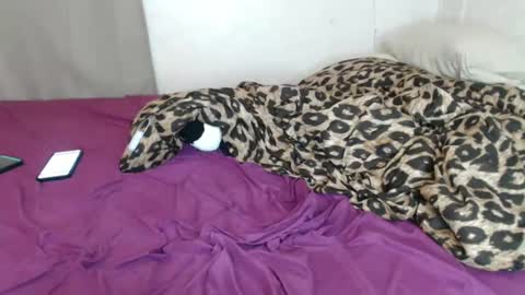 Snapshot of dimepiecexxx chatting on 17, 12, 2024 Sofie online show from 17, 12, 2024