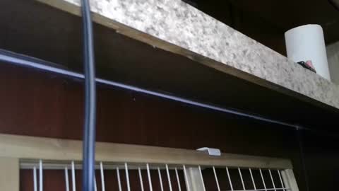 Snapshot of dimepiecexxx chatting on 28, 2, 2025 Sofie online show from 28, 2, 2025