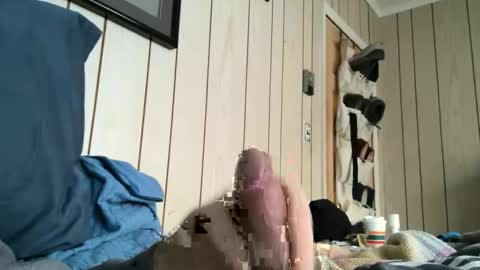 dingbat1979 online show from 3, 2, 2026