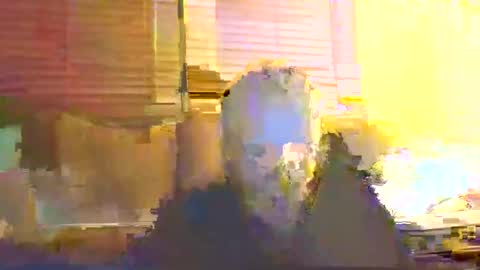 dingleberryjonesmagee online show from 25, 10, 2025