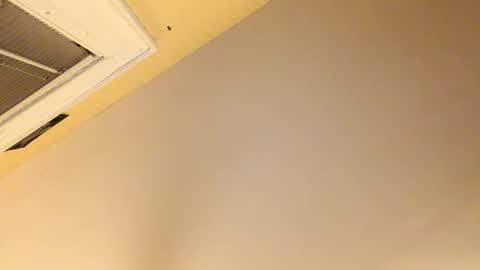 Dingler online show from 8, 12, 2024