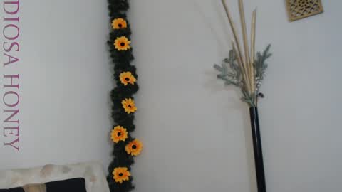 Snapshot of diosa_honey chatting on 29, 1, 2025 Diosa online show from 29, 1, 2025