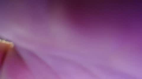 Snapshot of dirty_kiss69 chatting on 17, 2, 2025 Dirty Kiss69 online show from 17, 2, 2025