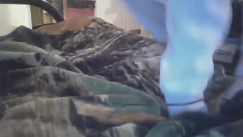 Snapshot of dirtynerdy30 chatting on 18, 1, 2025 Dirtynerdy online show from 18, 1, 2025