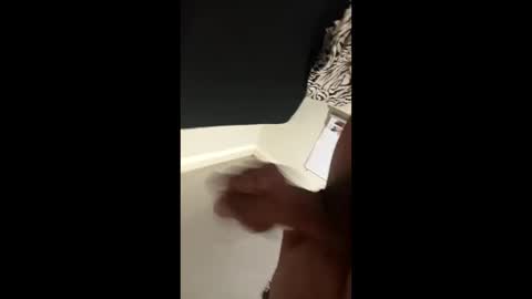 disidente1978 online show from 1, 4, 2026