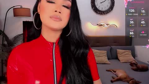    online show from 20, 11, 2025