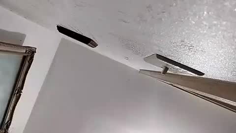 Snapshot of dixonbird41 chatting on 11, 2, 2025 dixonbird41 online show from 11, 2, 2025