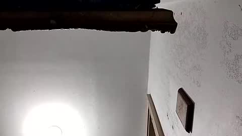 Snapshot of dixonbird41 chatting on 18, 2, 2025 dixonbird41 online show from 18, 2, 2025