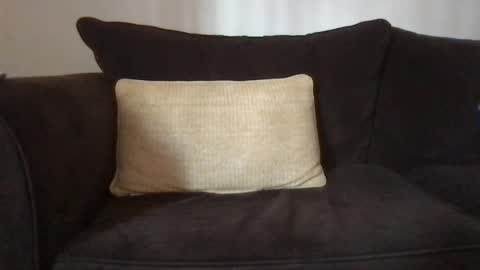 Snapshot of dizzydig chatting on 25, 1, 2025 Dizzydig online show from 25, 1, 2025