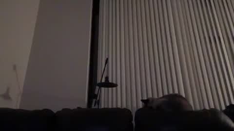 DJ Chaterbate online show from 14, 1, 2026