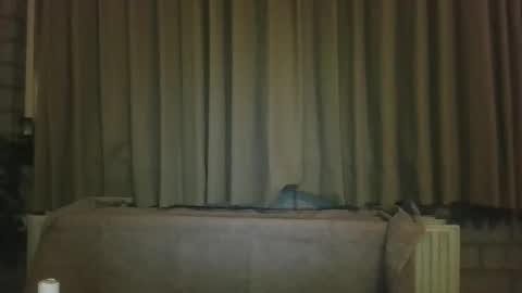 djensenhc online show from 11, 1, 2026