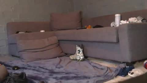 dljockbro online show from 7, 3, 2026