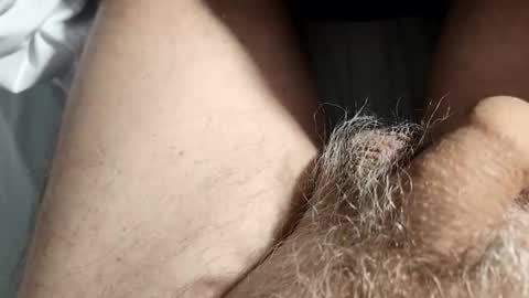 dockydick online show from 11, 2, 2026