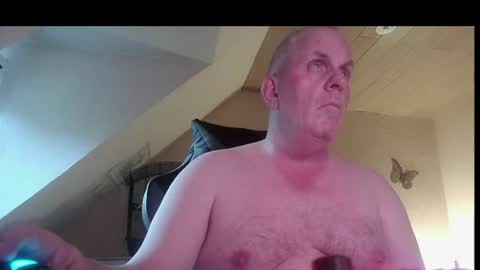 doggy2629 online show from 22, 6, 2026