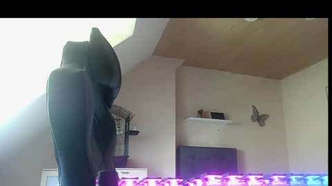 doggy2629 online show from 29, 6, 2026
