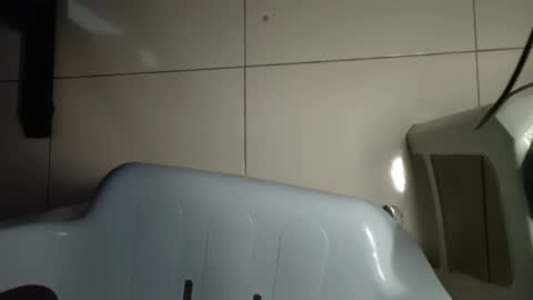 Snapshot of doggyman523 chatting on 24, 2, 2025 asian little tiger online show from 24, 2, 2025