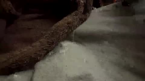 Snapshot of doingmek9 chatting on 20, 2, 2025 doingmek9 online show from 20, 2, 2025