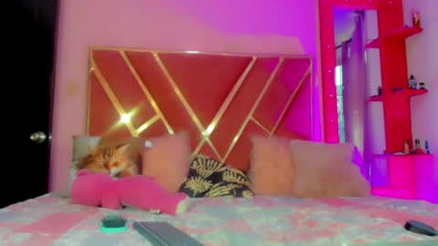 dollcute_latin online show from 1, 5, 2026