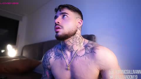 Snapshot of dominic_sullivan1 chatting on 23, 11, 2025 Dominic Sullivan online show from 23, 11, 2025