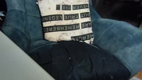 Snapshot of dondiego9999 chatting on 6, 1, 2025 dondiego9999 online show from 6, 1, 2025