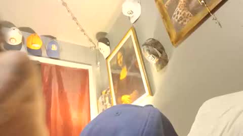 donniewolff66176493 online show from 9, 11, 2025