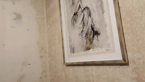 donwyan4 online show from 20, 11, 2025