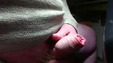 Snapshot of doscard chatting on 14, 12, 2024 doscard online show from 14, 12, 2024