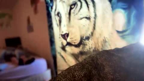 dove_love22 online show from 21, 11, 2025