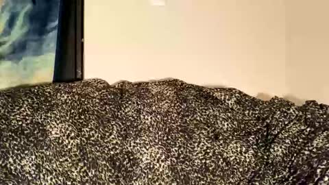 dove_love22 online show from 30, 11, 2025