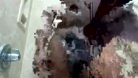 MrPirated online show from 18, 1, 2026