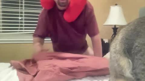 Snapshot of drboobology chatting on 27, 11, 2025 Dr of Boobs and Bras online show from 27, 11, 2025