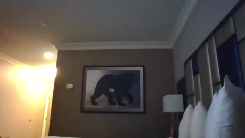 DreadedChefLoXXX online show from 3, 3, 2025