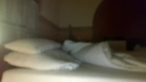 Snapshot of dreambob chatting on 1, 12, 2025 Dreambob online show from 1, 12, 2025