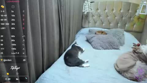 Snapshot of dreams_sophi chatting on 10, 7, 2026 Sophia online show from 10, 7, 2026