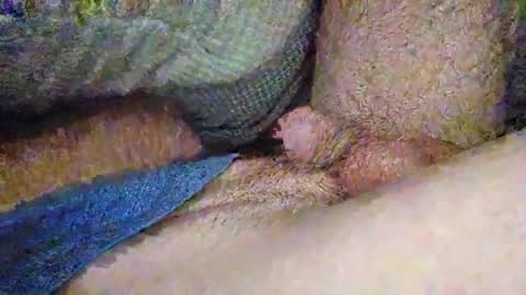 Snapshot of drew8649890274 chatting on 3, 11, 2025 drew8649890274 online show from 3, 11, 2025