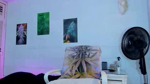 drippyorlove online show from 3, 3, 2026