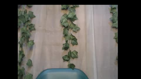 linda online show from 3, 10, 2025