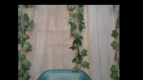 linda online show from 14, 10, 2025