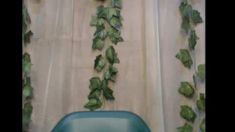 linda online show from 8, 11, 2025