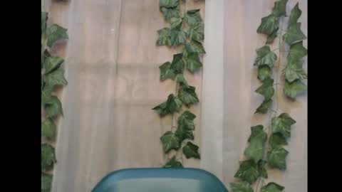 linda online show from 16, 11, 2025