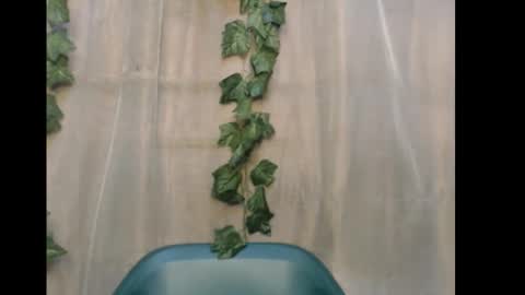 linda online show from 15, 12, 2025