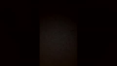 Snapshot of dschlik2 chatting on 2, 3, 2026 dschlik2 online show from 2, 3, 2026