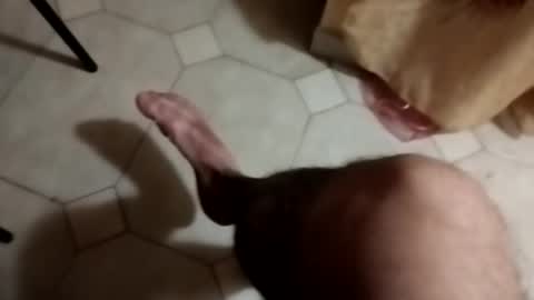 dthedog12 online show from 22, 9, 2025