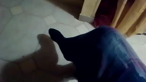 dthedog12 online show from 8, 2, 2026