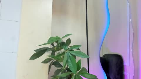 dulce__fiore07 online show from 21, 12, 2025