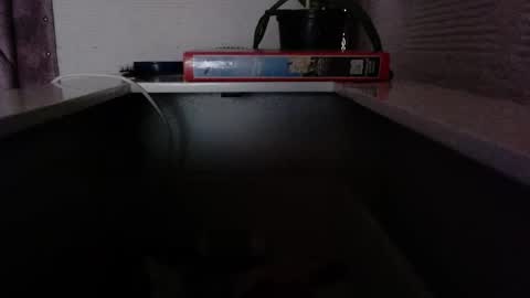 Snapshot of dulce_smith02 chatting on 24, 11, 2025 dulce_smith02 online show from 24, 11, 2025