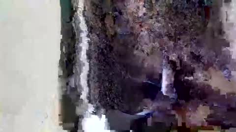 Snapshot of dulcetiffanii chatting on 15, 5, 2026 Sofia online show from 15, 5, 2026