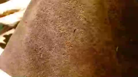 Snapshot of dunany101 chatting on 28, 1, 2025 dunany101 online show from 28, 1, 2025