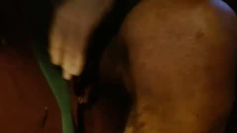 Snapshot of dunany101 chatting on 26, 2, 2025 dunany101 online show from 26, 2, 2025