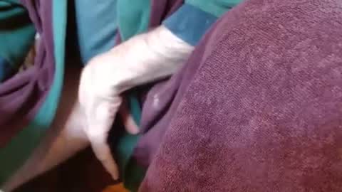 Snapshot of dunany101 chatting on 4, 3, 2025 dunany101 online show from 4, 3, 2025